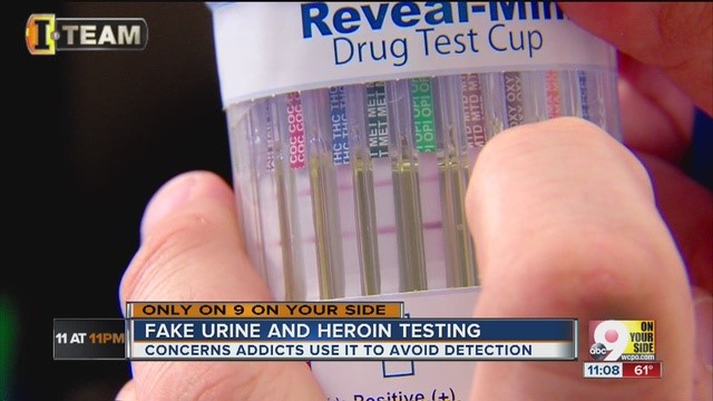 Can Synthetic Urine Be 
      Detected In A Lab Topping VA 23169